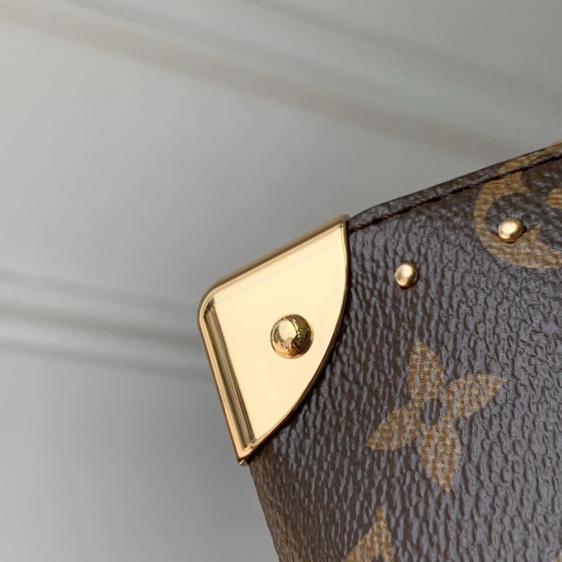 LV Speedy Bags